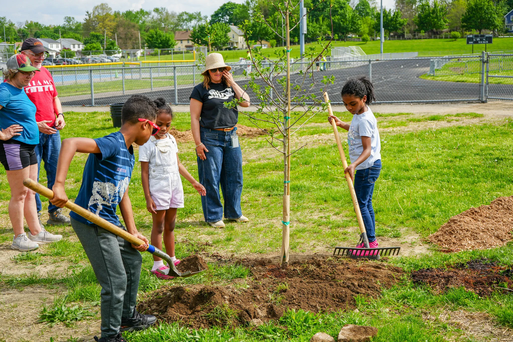 Implement ODNR Tree Planting Grant Banner